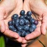 Healthy quinoa breakfast bars using super fresh blueberries | recipe on simplyquinoa.com