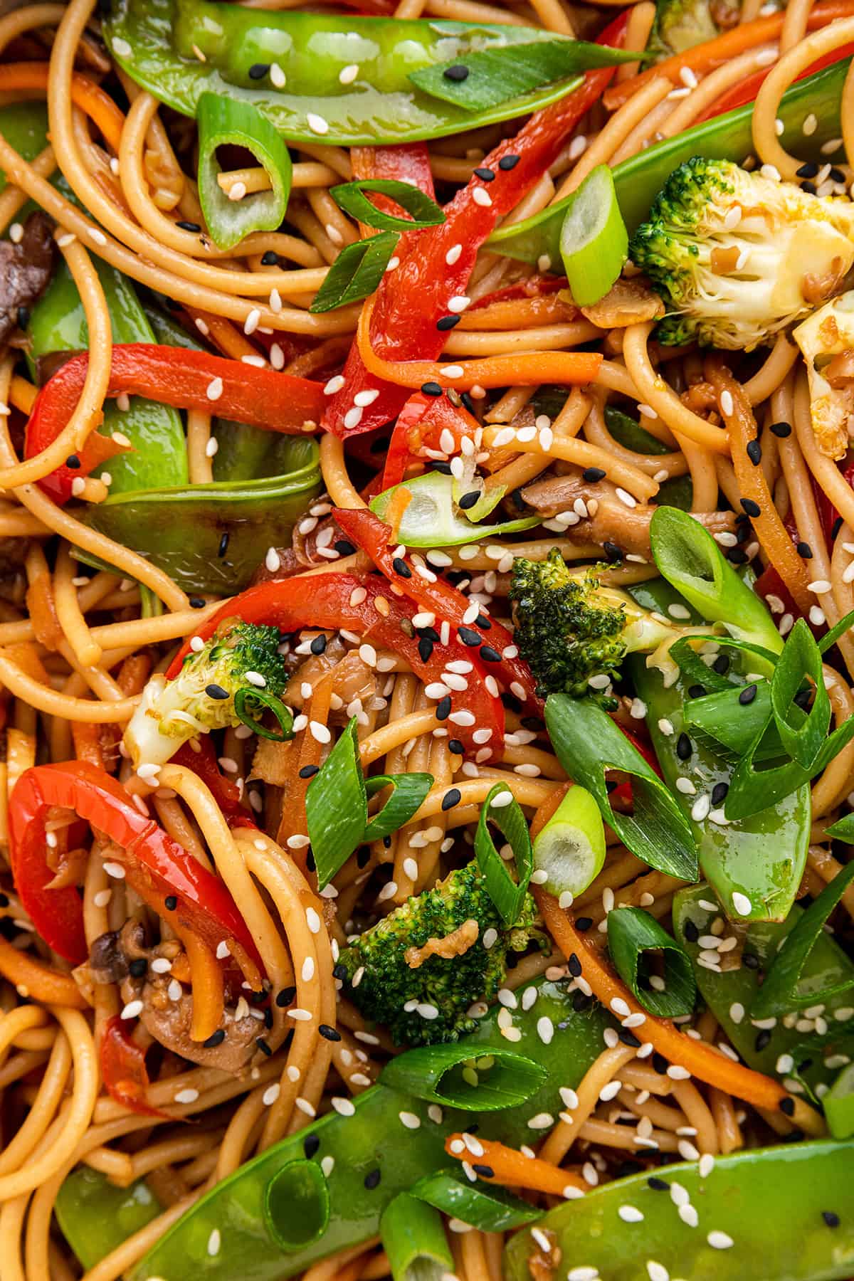 Closeup of vegetable lo mein