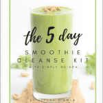 5-Day Smoothie Cleanse Kit