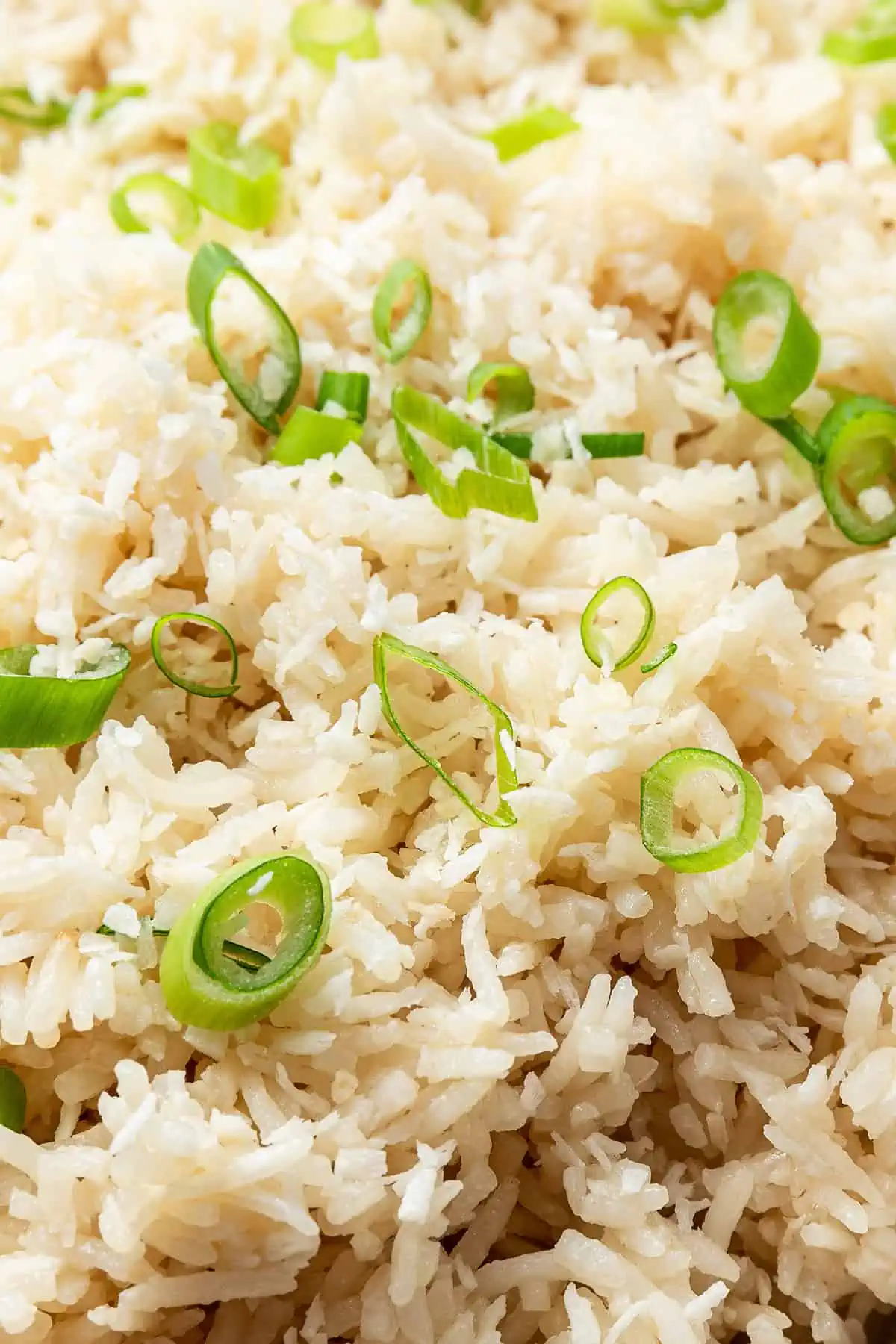 Close up of coconut rice topped with scallions.